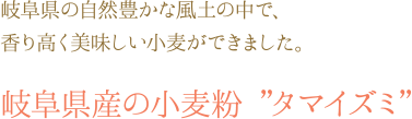 岐阜県産の小麦粉”タマイズミ”