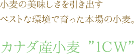 ʥ”ICW"