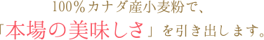 100󥫥ʥʴǡܾ̣פФޤ