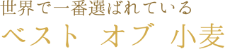 ǰФƤ롡٥  