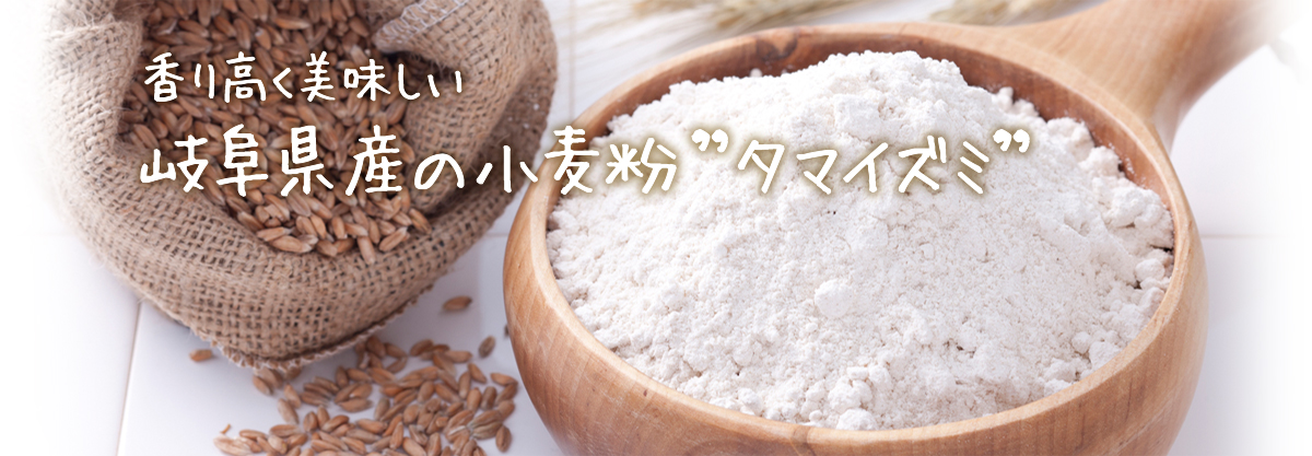 香り高く美味しい岐阜県産の小麦粉”タマイズミ”